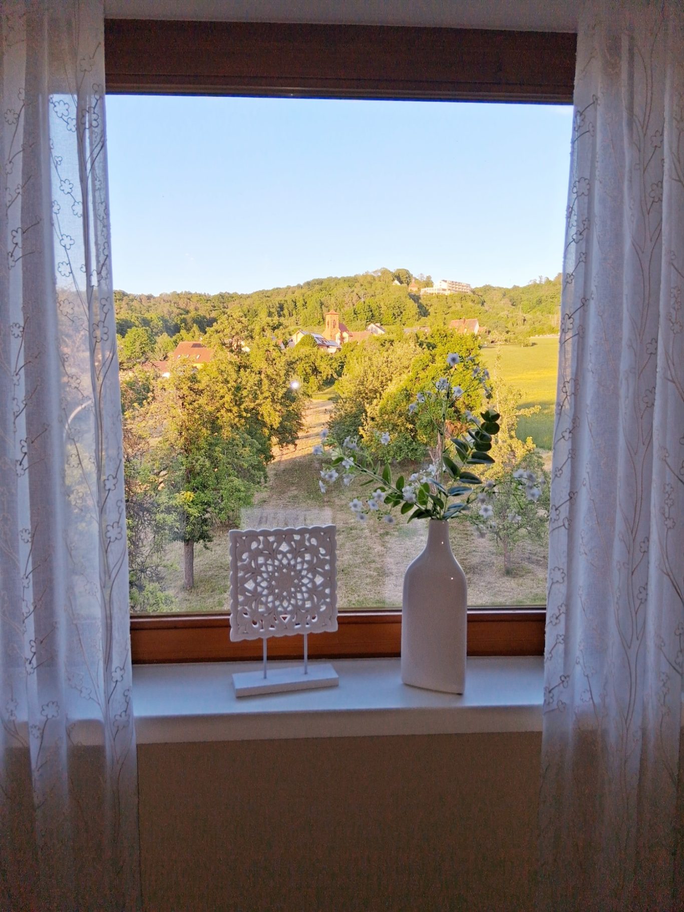 Ausblick auf die Herrnwiesn
